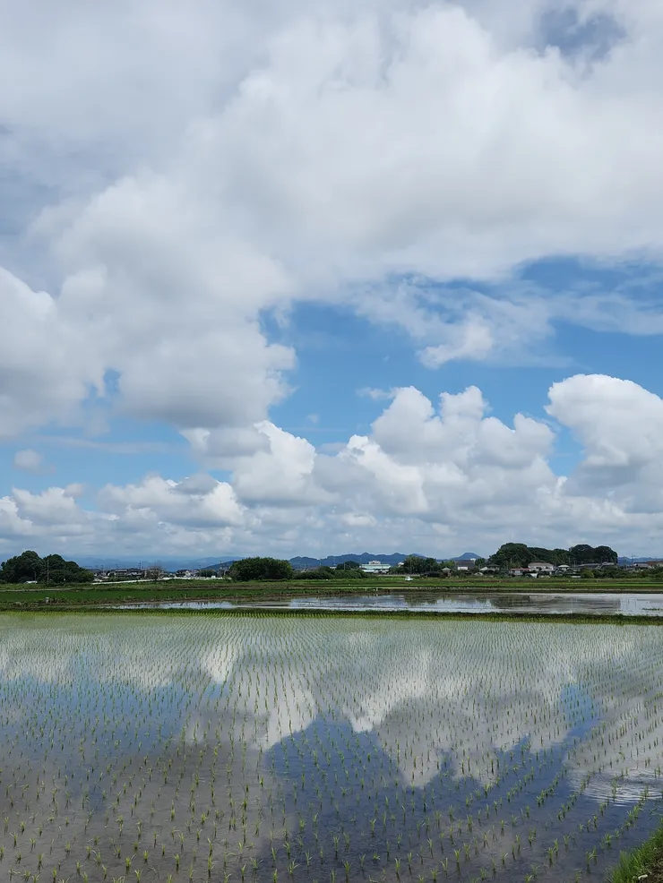 KakaoTalk_20240629_130329602.jpg