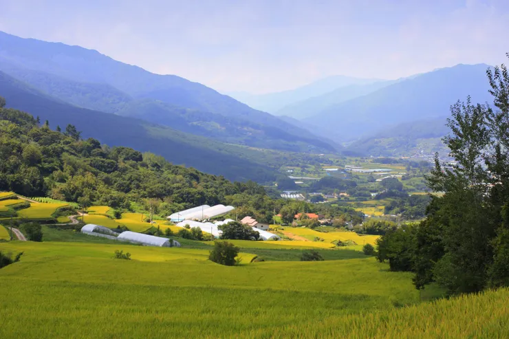 aaajirisan11.jpg