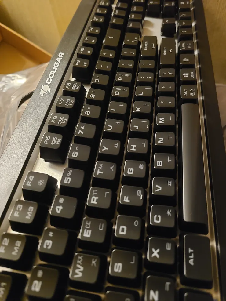 20250601_201045.jpg