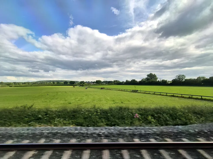 20250613_171757.jpg