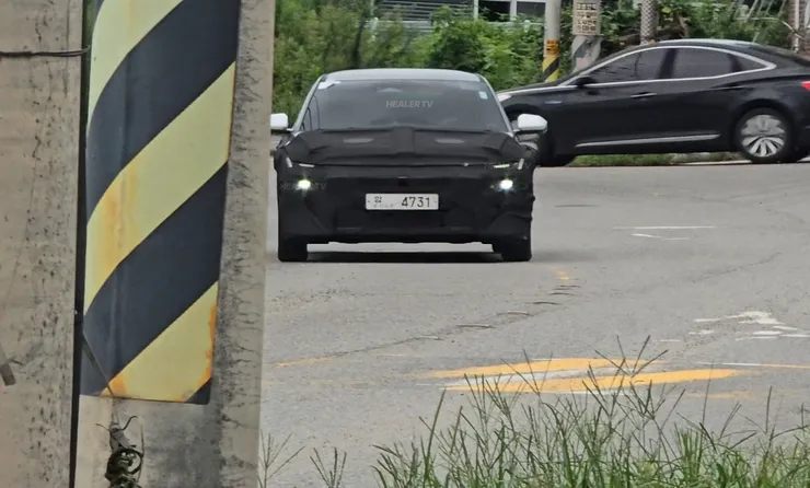 1755204376535.jpg