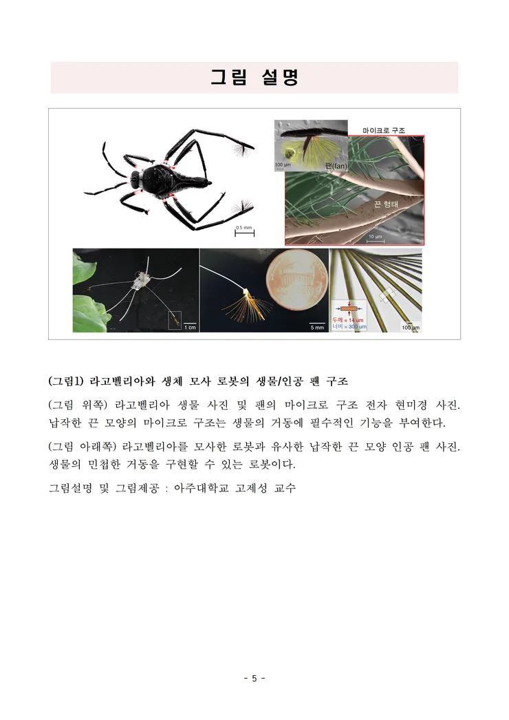 250822 조간 (보도) 국내 연구진, 소금쟁이의 비밀 풀었다… 초소형 로봇으로 구현 성공(최종) image001.png