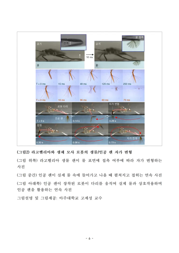 250822 조간 (보도) 국내 연구진, 소금쟁이의 비밀 풀었다… 초소형 로봇으로 구현 성공(최종) image002.png