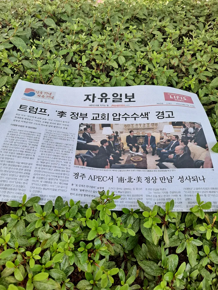 7자유.jpg