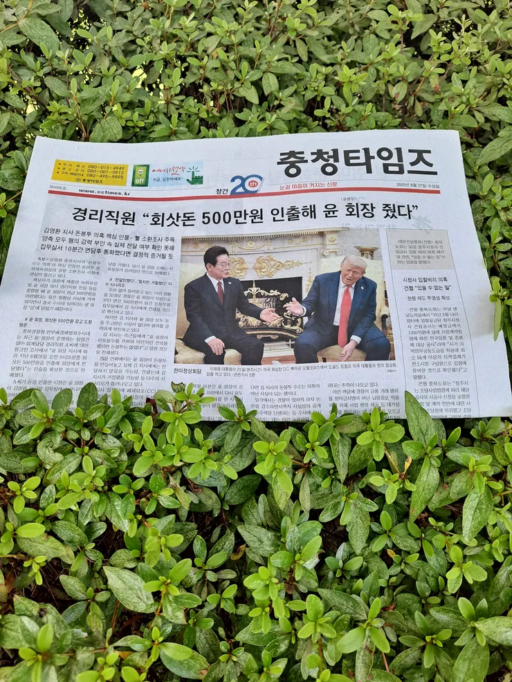 7충타.jpg