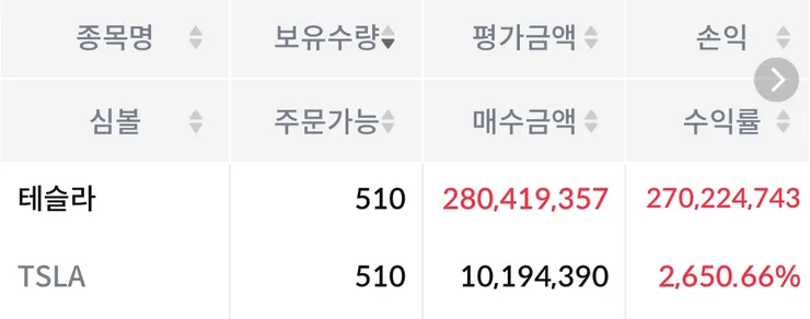 테슬라 주식.jpg