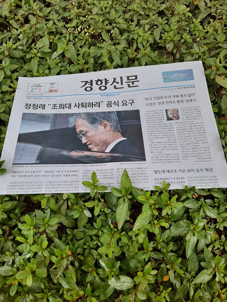 16경향.jpg