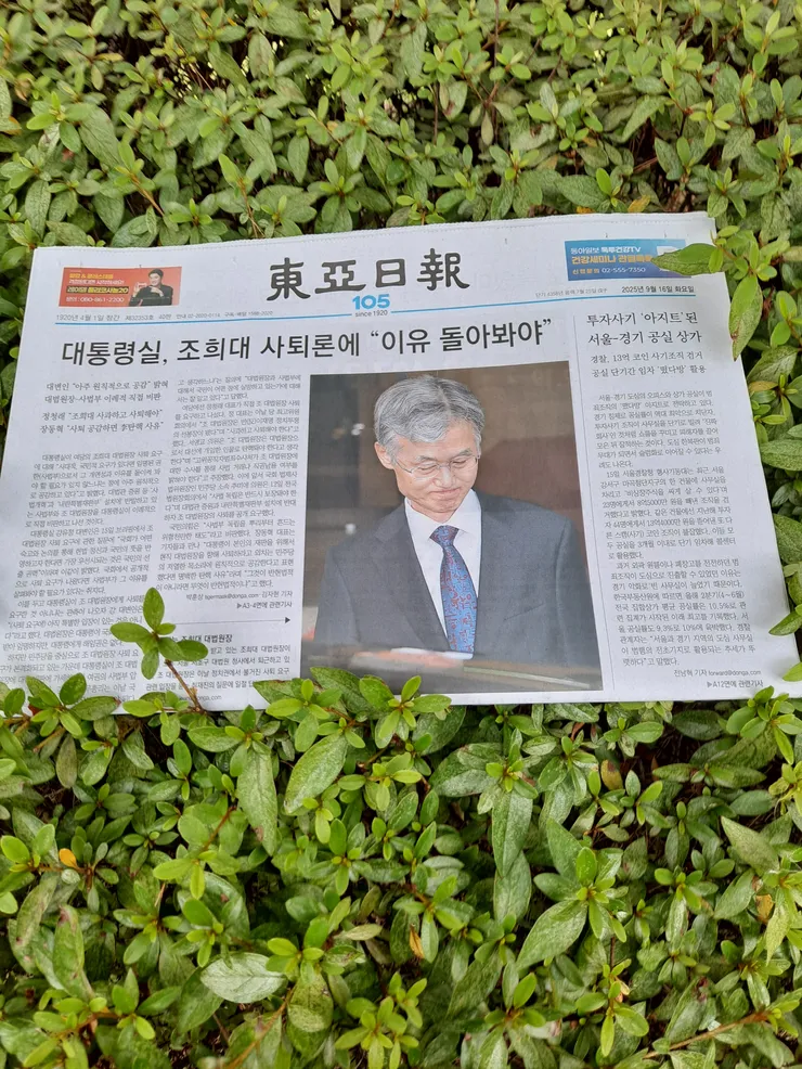 16동아.jpg