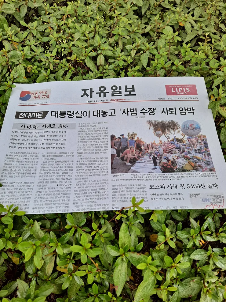 16자유.jpg