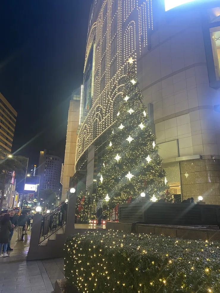 B3B00563-3F75-4F6E-AC3F-5C90618647FE_1_102_o.jpeg