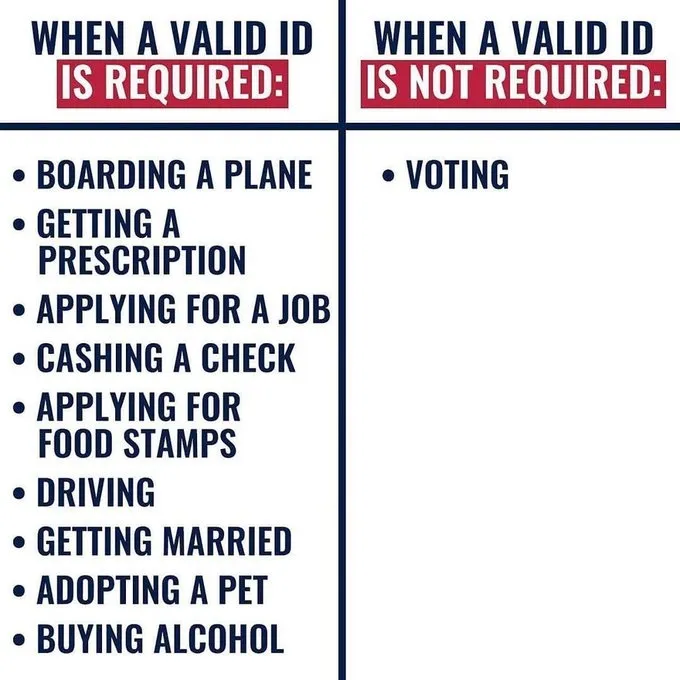 투표 보터 voter id (2).jpg