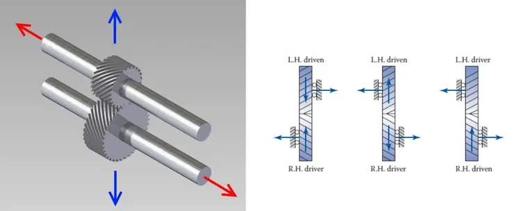 image (10).png