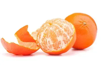 2cfb4247945f05.webp