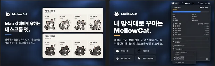 MellowCat.png