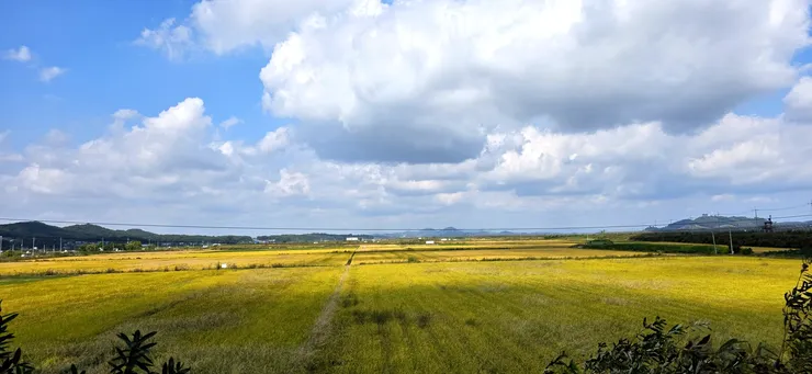 20261005_114450.jpg