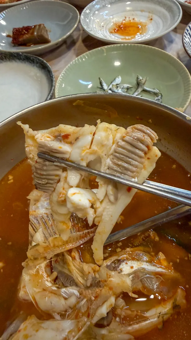 경상남도 통영시 어부의식탁. 이미지 13