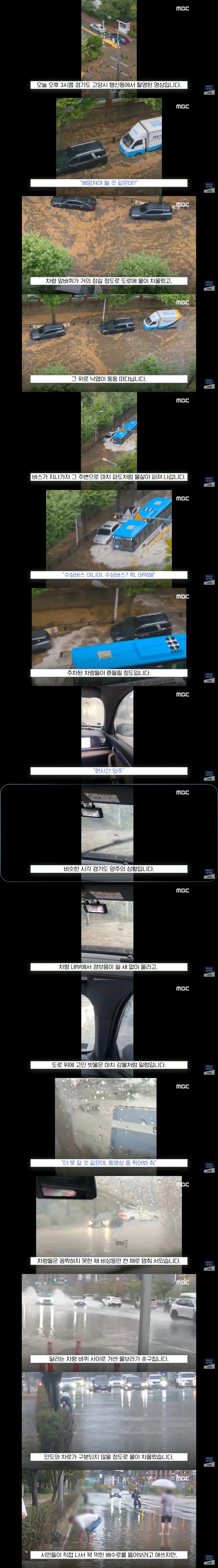 낙엽때문에 배수구 막히고 난리났던 서울과 경기도 이미지 1