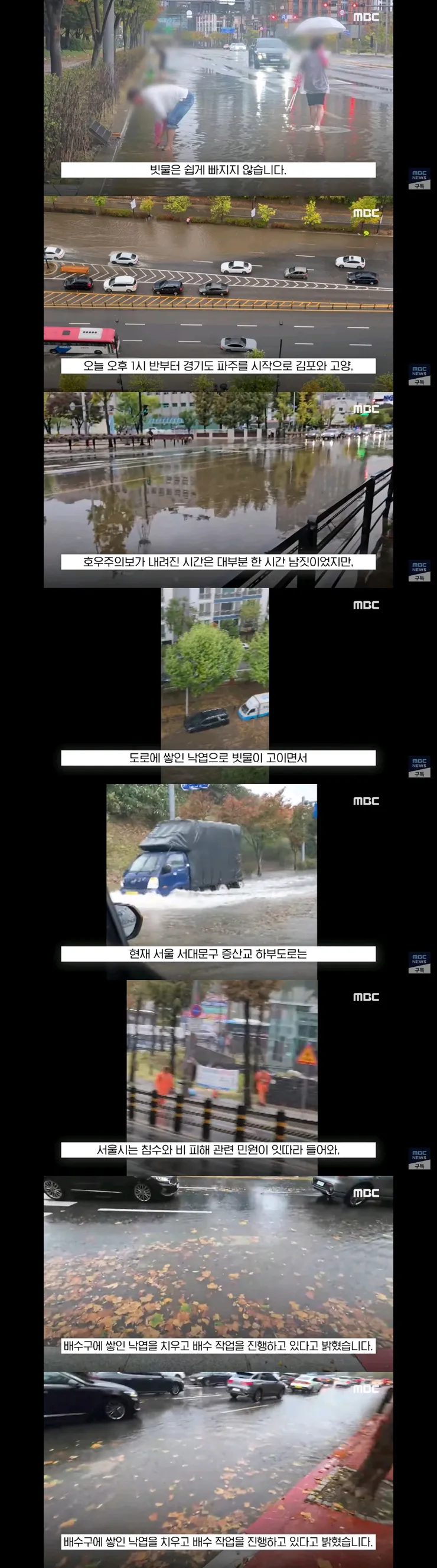 낙엽때문에 배수구 막히고 난리났던 서울과 경기도 이미지 2