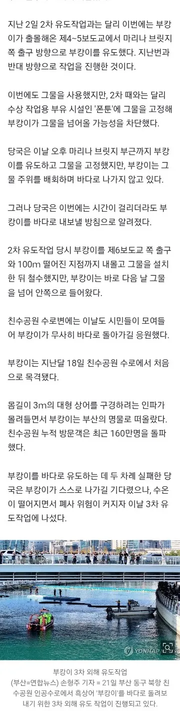 상어 '부캉이' 수로 출구 부근까지 유도…아직 바다로 안 떠나 이미지 2