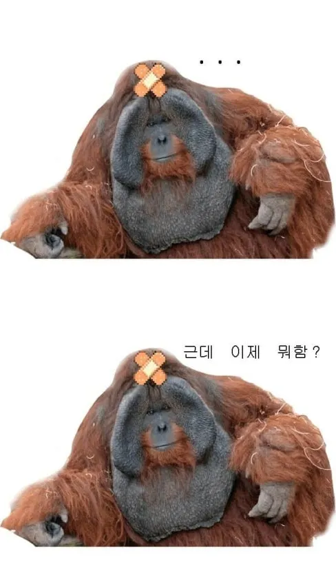 다운로드 (1).jpg