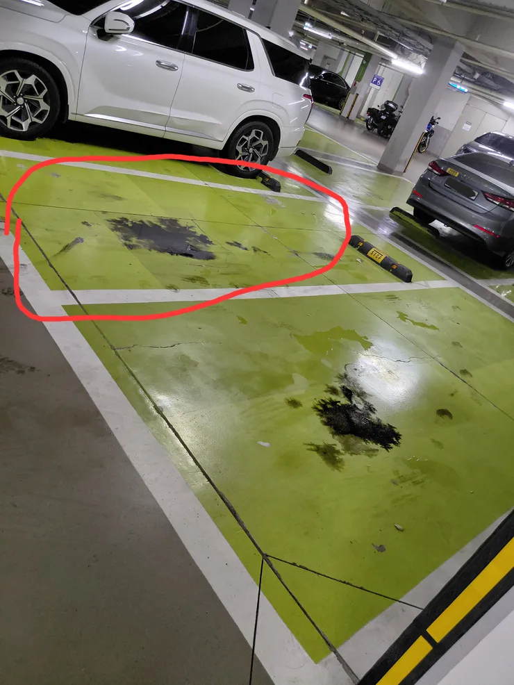 어제 퇴근후 주차하고 주차장 바닥보고 깜놀했습니다 이미지 2