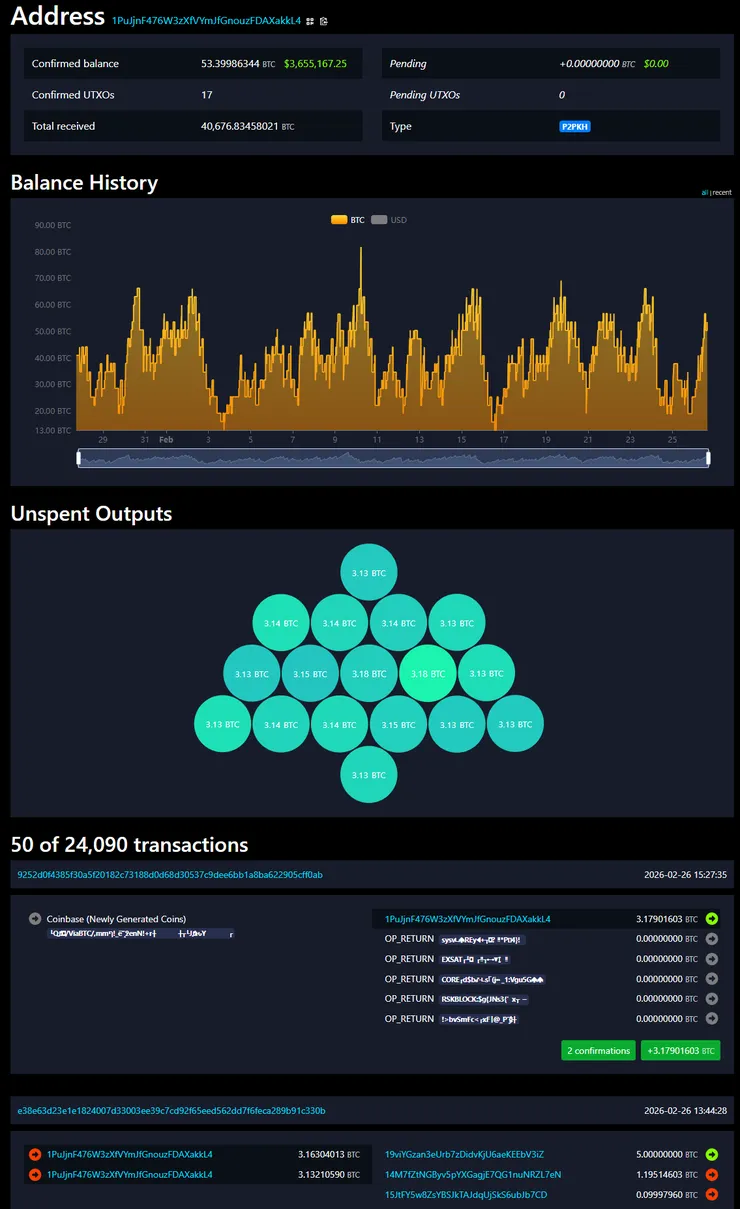 mempool-electrs.png