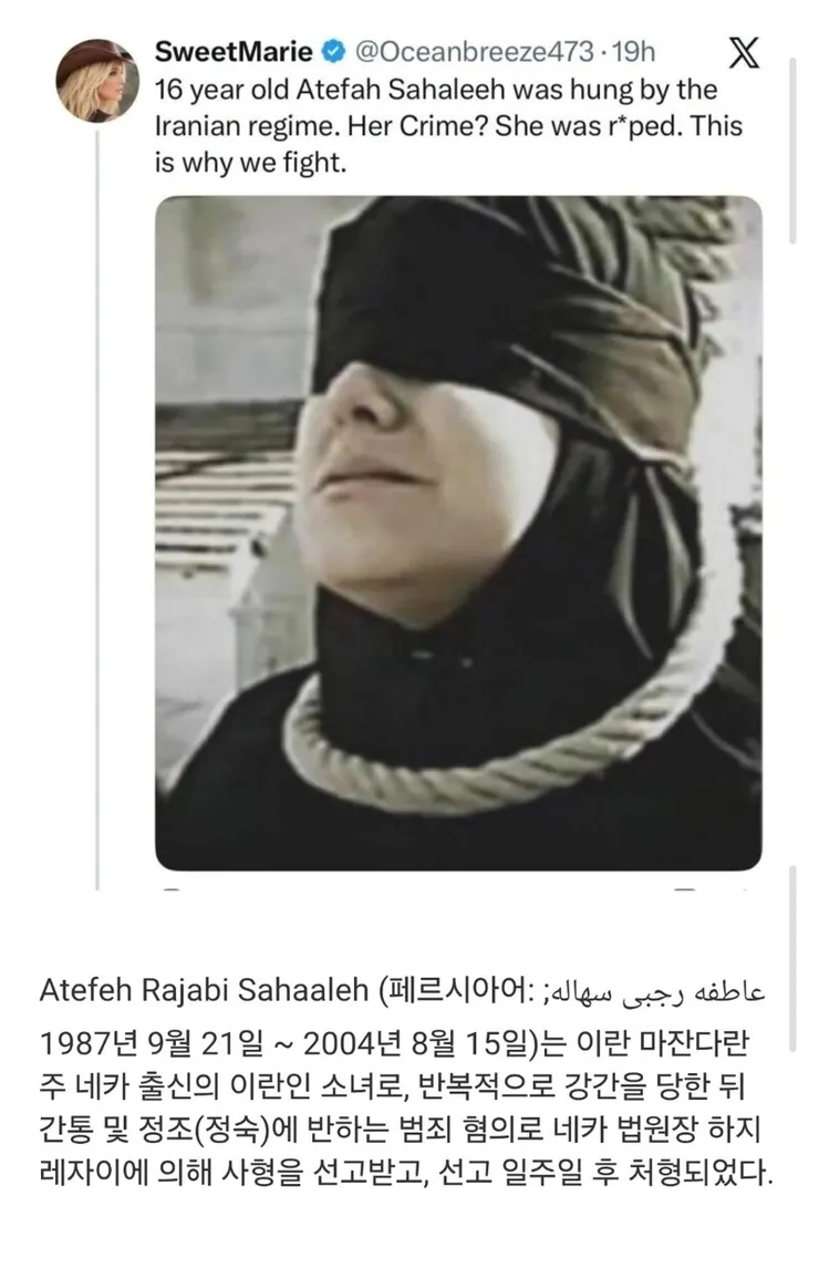 어느 이란인의 반박 글과 호소 이미지 2