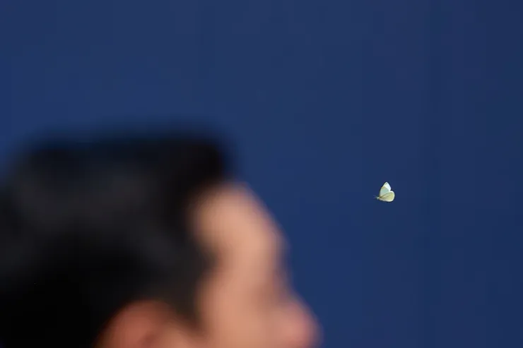 656843759_18572398879002695_8883866979230073314_n.jpg