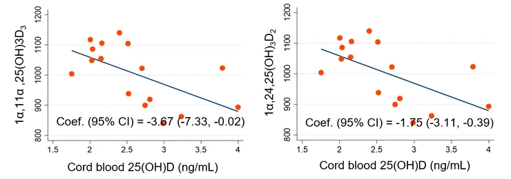 image8.bmp_effect (1).png
