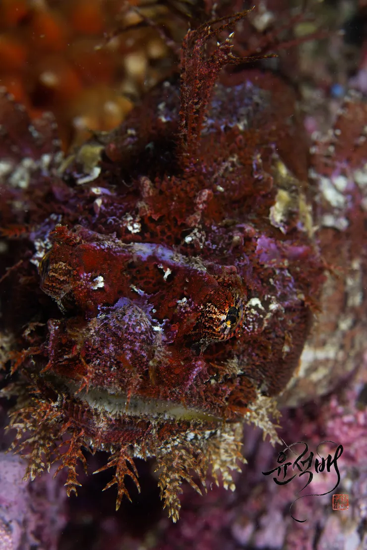 YSB_0651-1.jpg