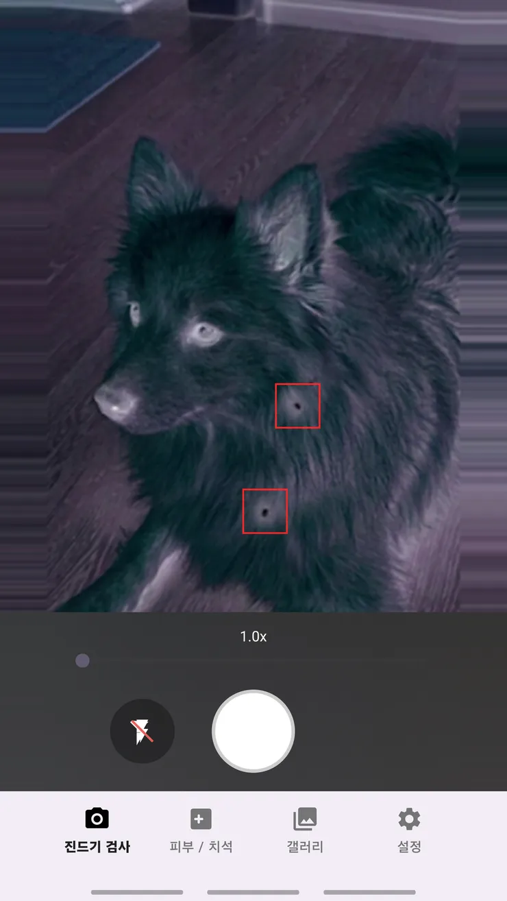 phone_01_tick.png