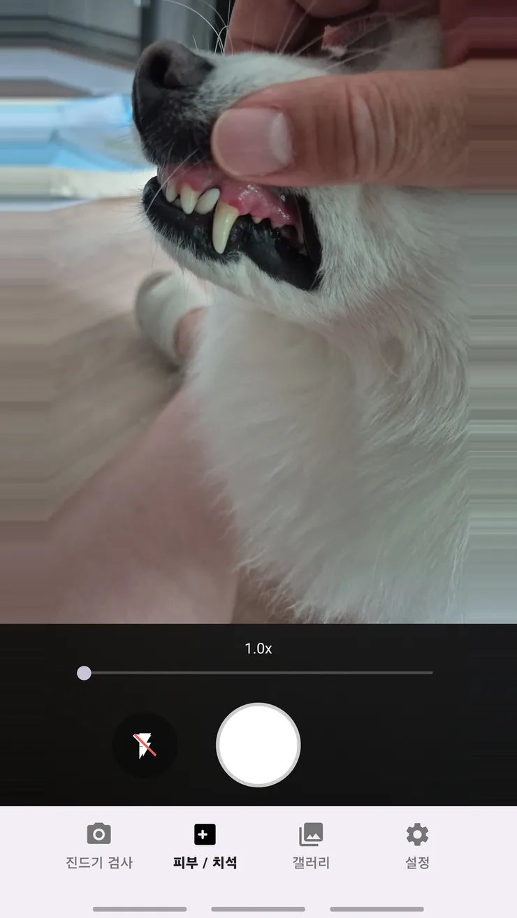 phone_02_skin_dental.png