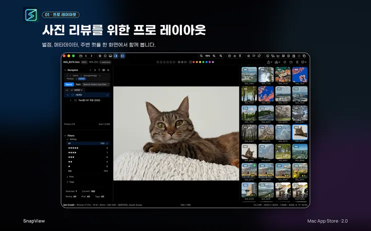 01-pro-layout-photo-review-ko-2880x1800.png