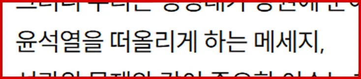 윤석열을떠올리게-강조.jpg