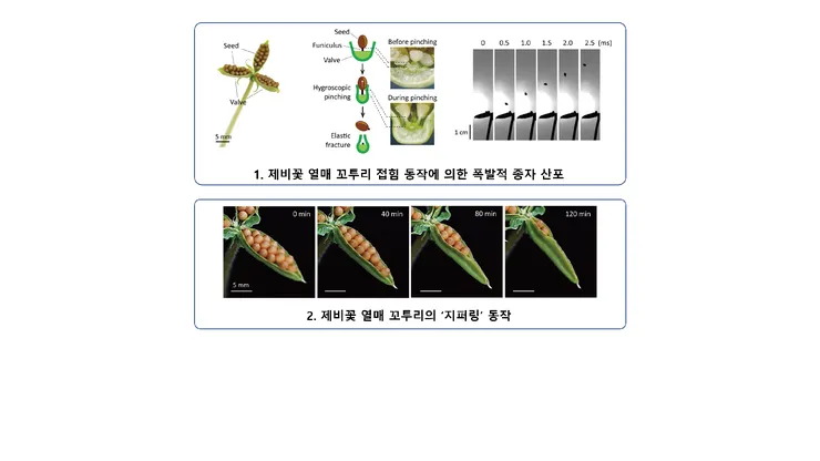 image7.bmp_effect (3).png
