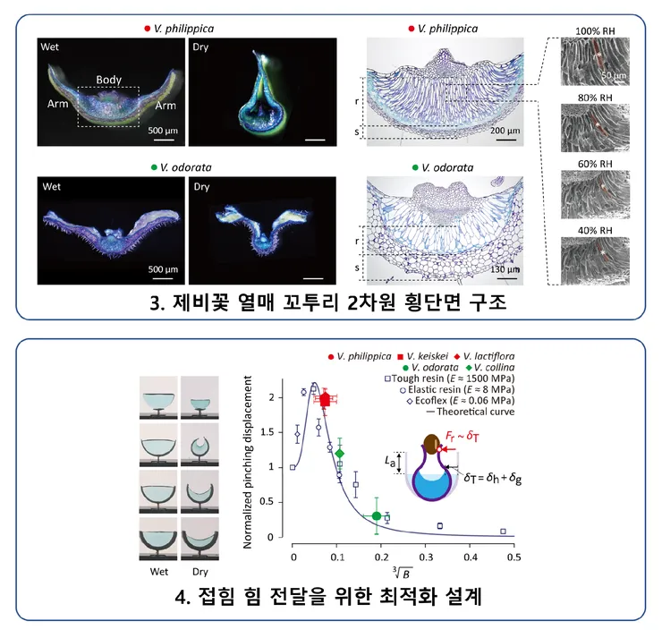 image8.bmp_effect (2).png