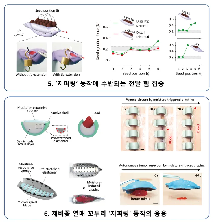 image9.bmp_effect (1).png