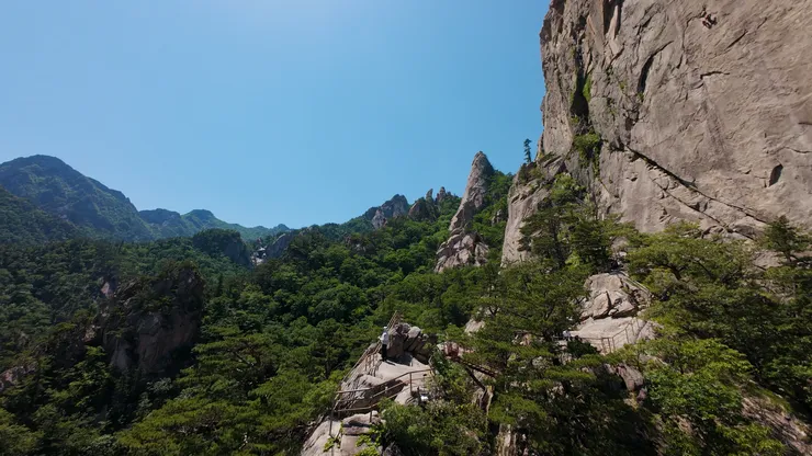 DJI_20260530125502_0001_D_joined_stabilized.00_20_02_44.Still002.jpg