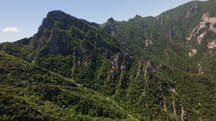 DJI_20260530125502_0001_D_joined_stabilized.00_02_26_22.Still023.jpg