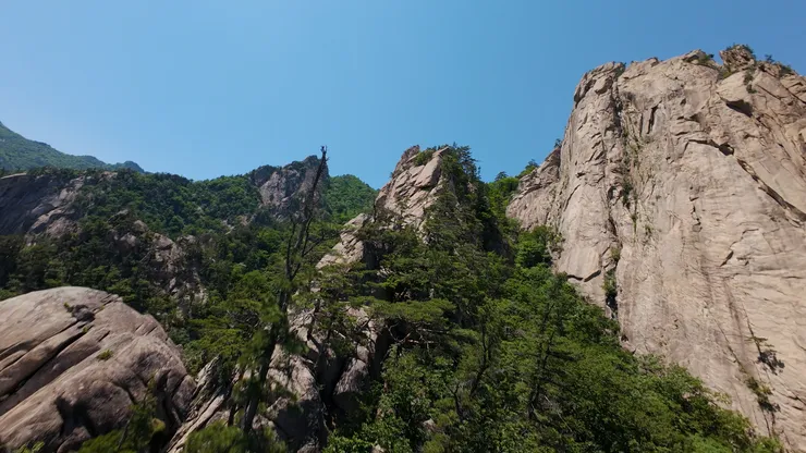 DJI_20260530125502_0001_D_joined_stabilized.00_02_22_23.Still022.jpg