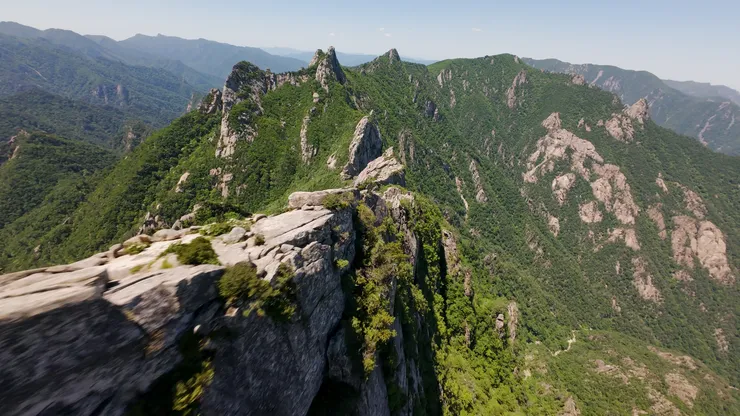 DJI_20260530125502_0001_D_joined_stabilized.00_02_15_36.Still020.jpg