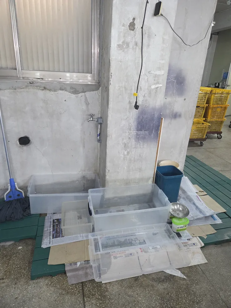 KakaoTalk_20260703_115231295.jpg