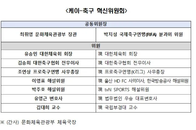 박지성-최휘영 장관 공동위원장 'K-축구 혁신위' 출범...유승민, 이영표, 박주호 참여 이미지 2