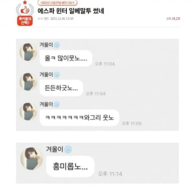 에스파 윈터도 일베어 쓴건가요? 이미지 2