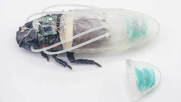 cyborg-cockroach.png.jpeg