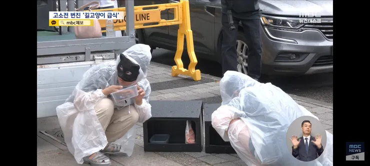 고양이 밥 주면 10만 원'에 고소까지‥끝장 갈등 이미지 3