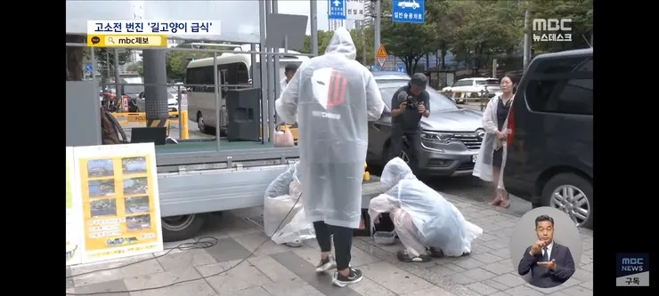 고양이 밥 주면 10만 원'에 고소까지‥끝장 갈등 이미지 4