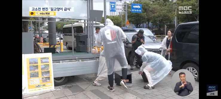 고양이 밥 주면 10만 원'에 고소까지‥끝장 갈등 이미지 5