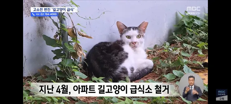 고양이 밥 주면 10만 원'에 고소까지‥끝장 갈등 이미지 7