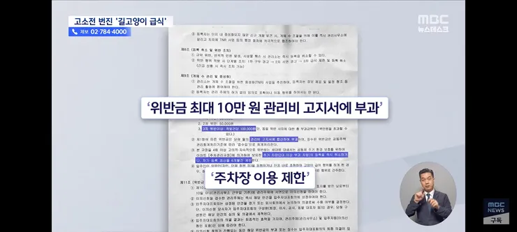 고양이 밥 주면 10만 원'에 고소까지‥끝장 갈등 이미지 9